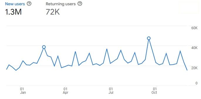 Google Analytics User Data Screenshot