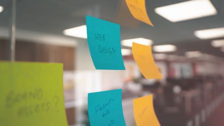 Website design & development