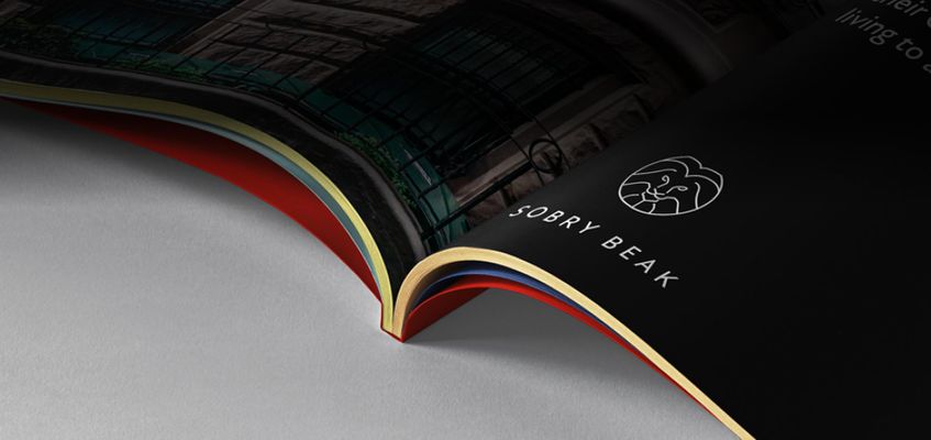 sobry-beak-case-study-banner.jpg