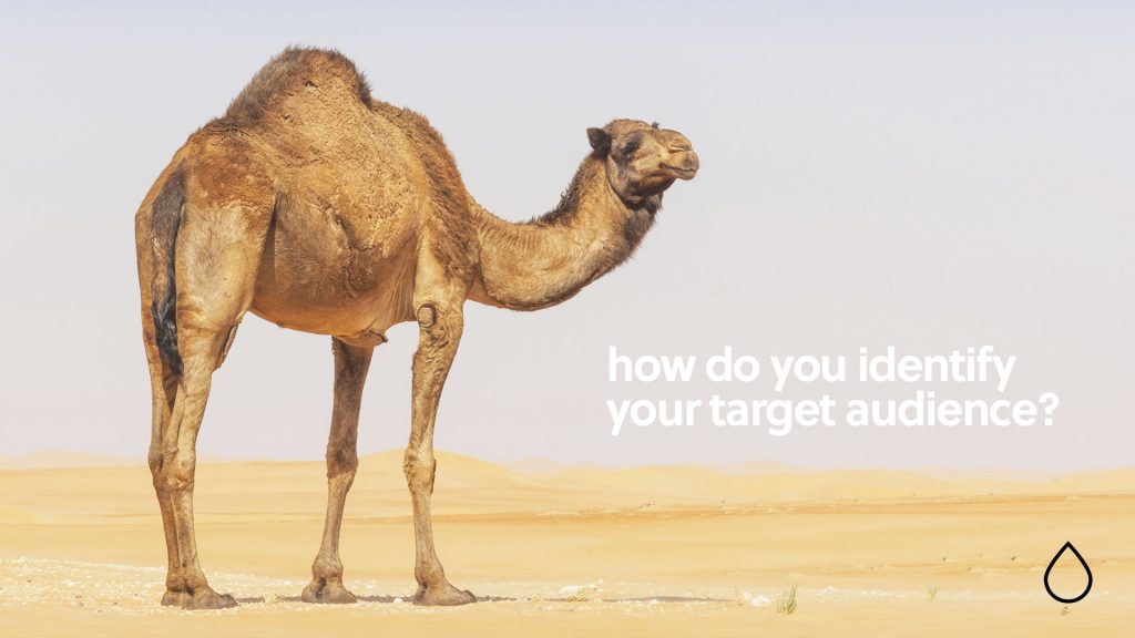 How do you identify your target audience don't sell sand to a camel image